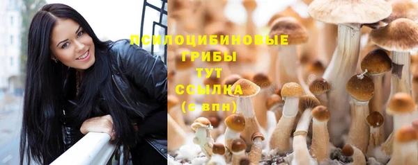 ПСИЛОЦИБИНОВЫЕ ГРИБЫ Магадан