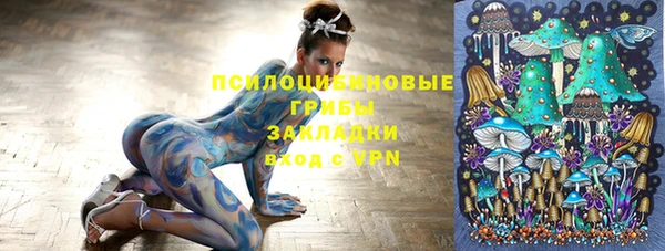прущая мука Абаза