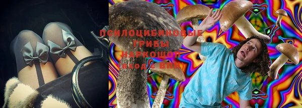 СК Абдулино