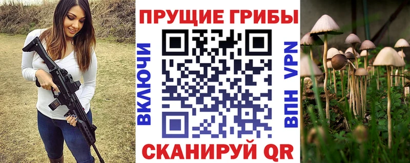 Галлюциногенные грибы прущие грибы  Ядрин 